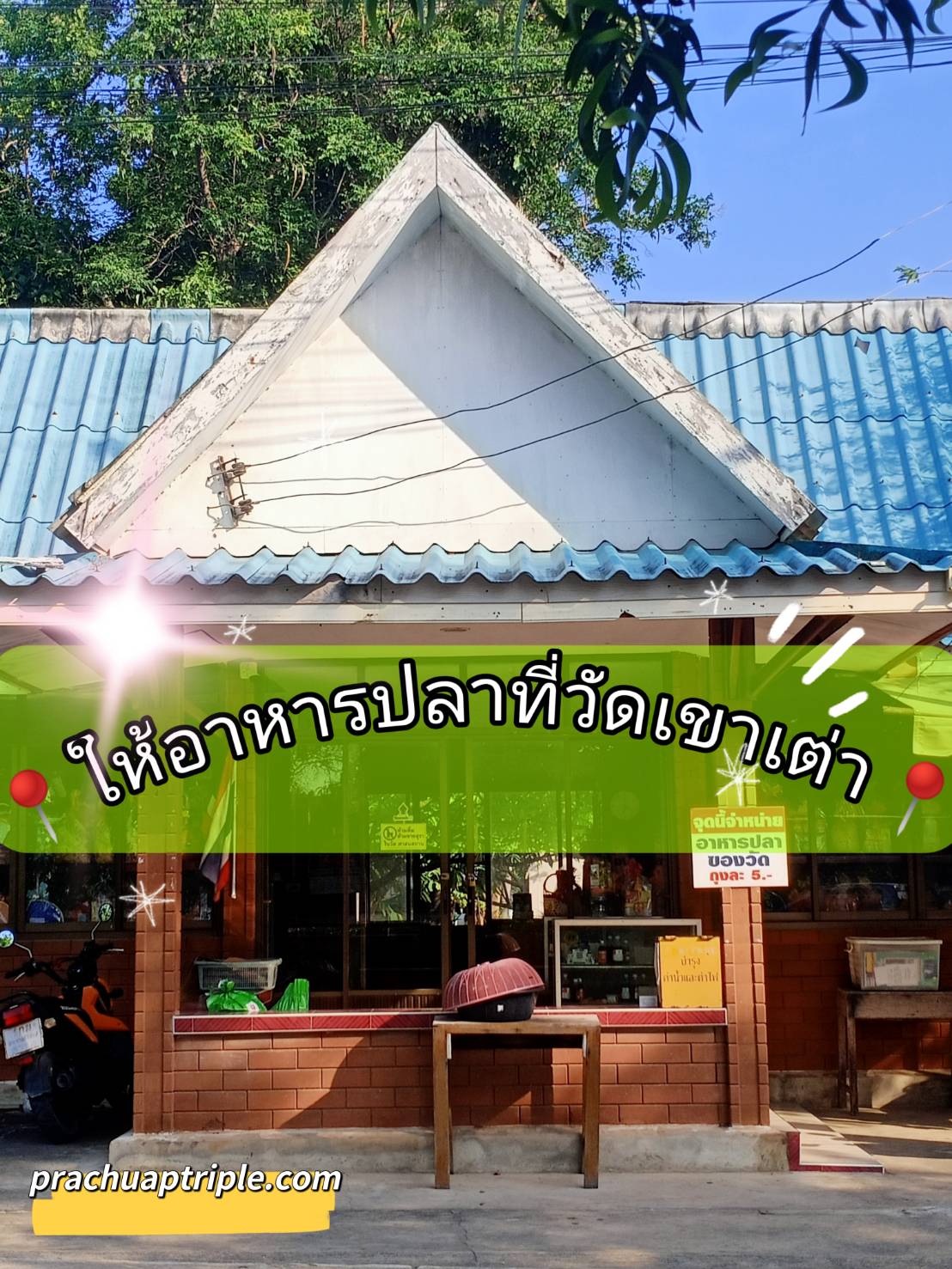 ให้อาหารปลาที่วัดหัวหิน