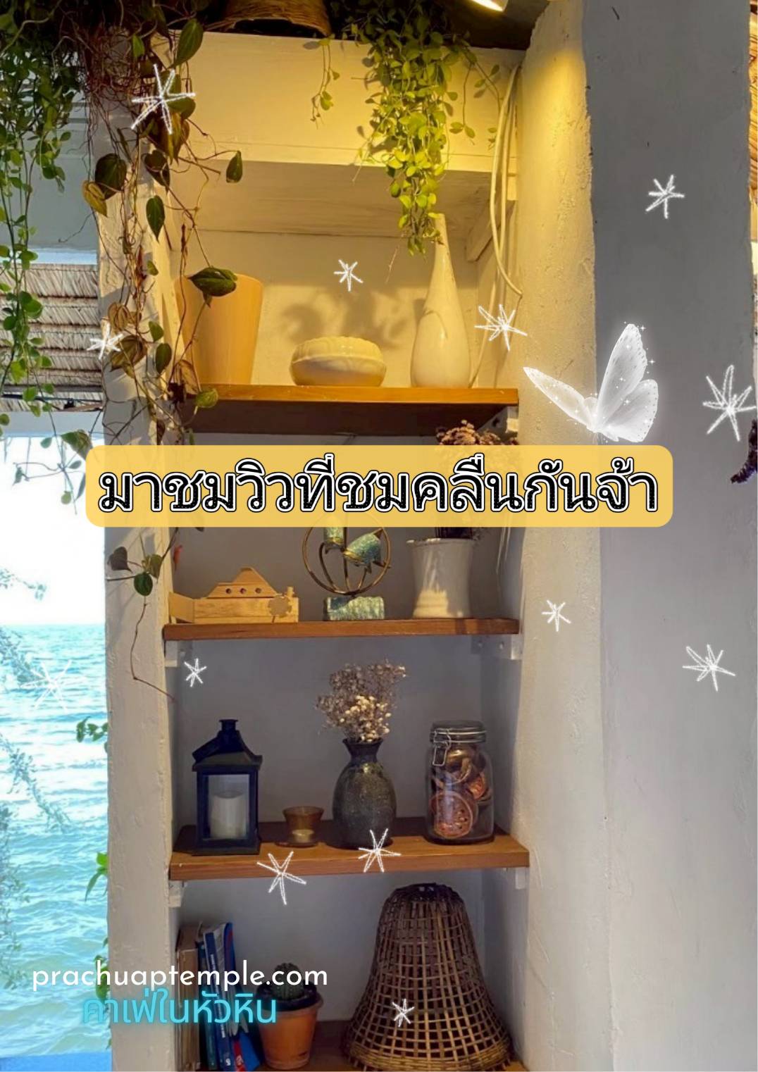 ชมคลื่น